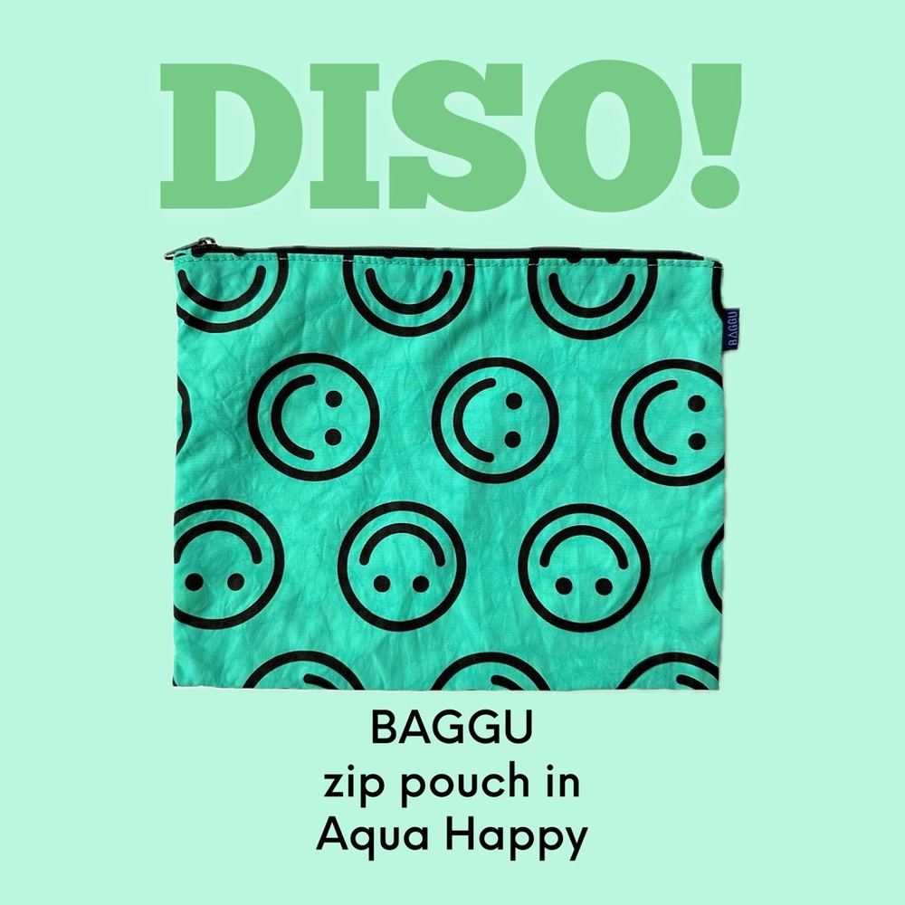 DISO - Baggu zip pouch in AQUA HAPPY
